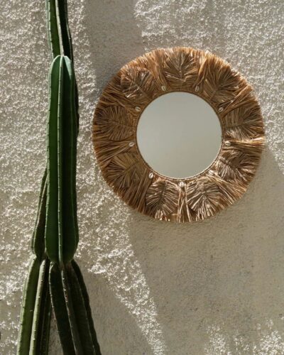 Le Miroir Palm Tree