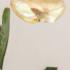 Suspension | Feuille mart – Image 3