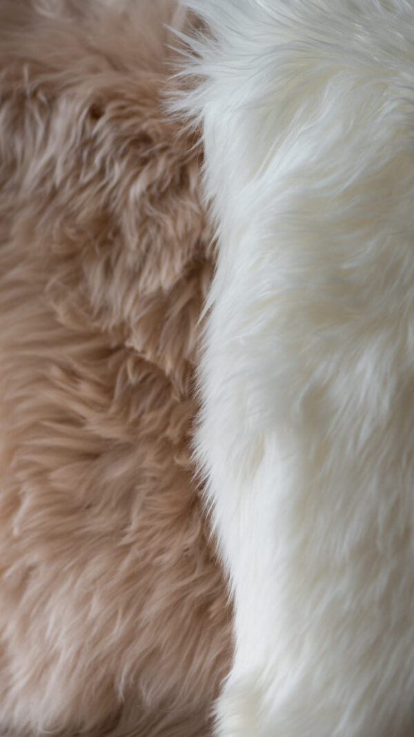 Coussin en laine de Mouton | New Zealand – Image 3