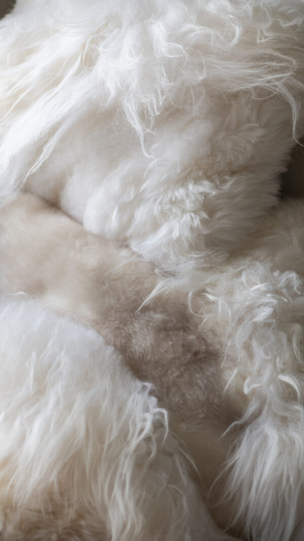 Coussin en laine de Mouton | Mélange de laine – Image 3