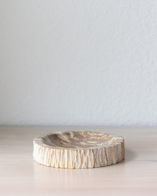 Vide Poche | Bois Pétrifié – Image 2