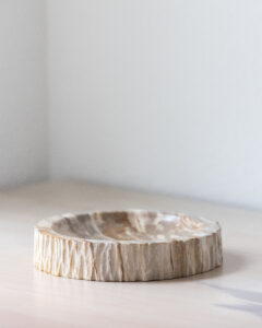 Vide Poche | Bois Pétrifié