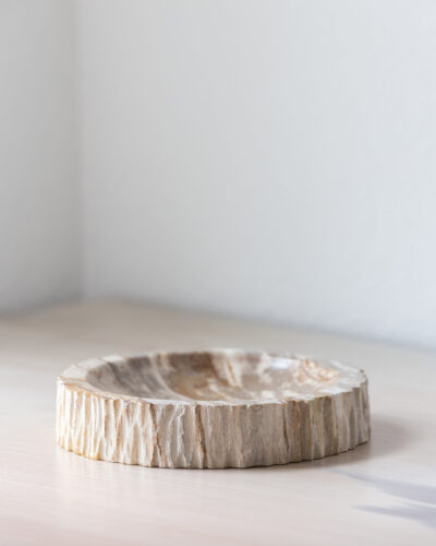 Vide Poche | Bois Pétrifié