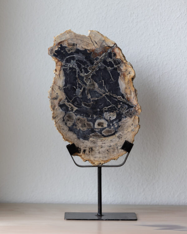 Sculpture | Bois Pétrifié – Image 2