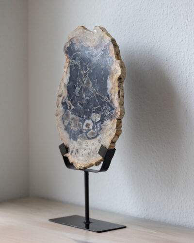 Sculpture | Bois Pétrifié