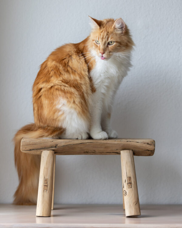 Tabouret en bois vintage – Image 2