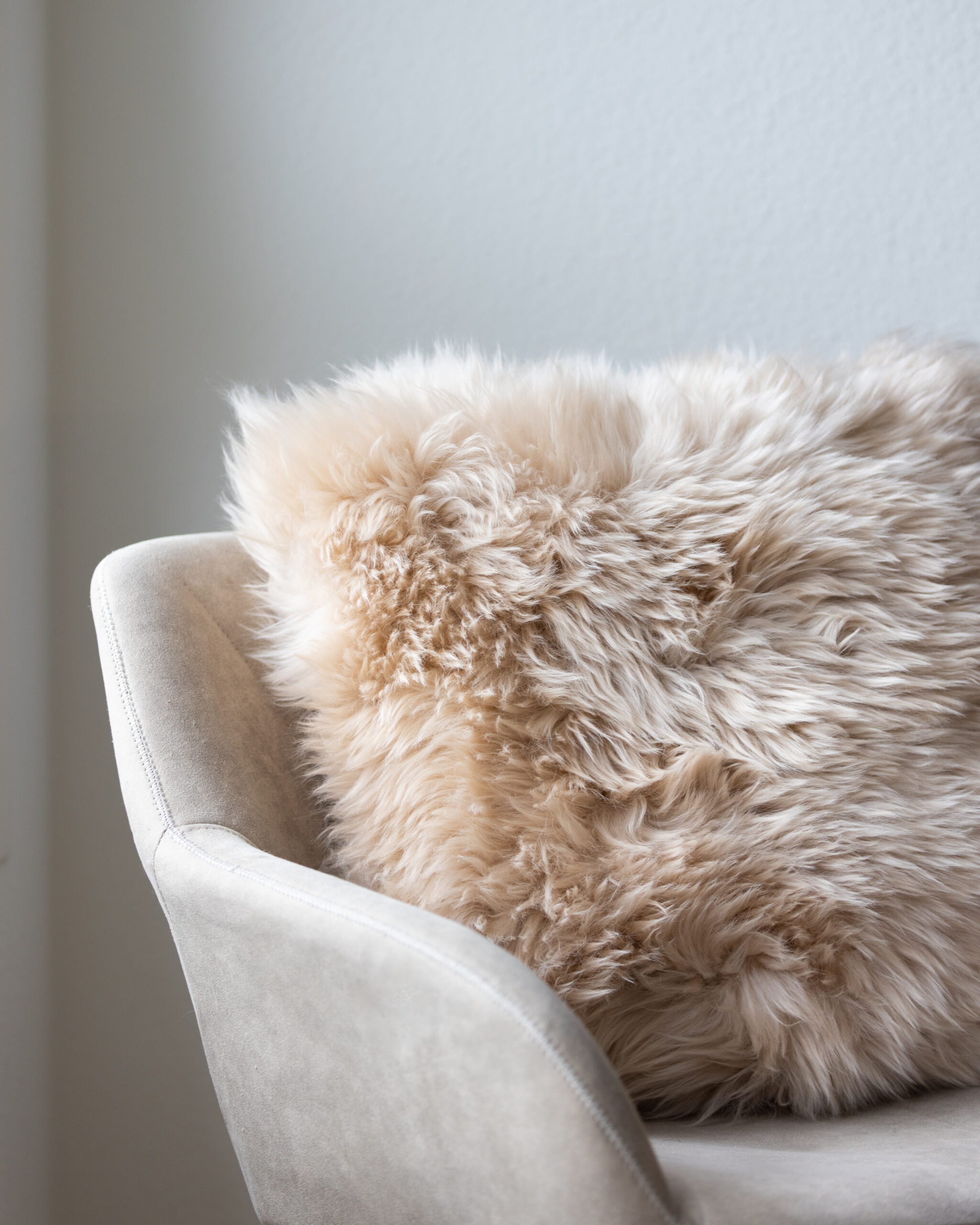 Coussin en laine de Mouton | New Zealand