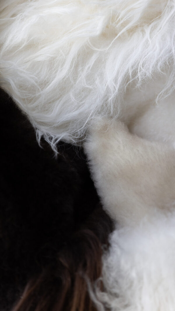Tapis en laine de mouton | Texel – Image 3